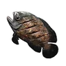 調理したうまそうな魚