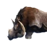牙獣の死骸