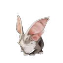 ホップヘア