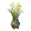 黄色いシンビジウムの鉢植え（黄）