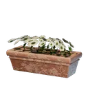 花の鉢植え（白）