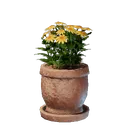 花の鉢植え（黄）