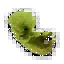 エンドレガの胚